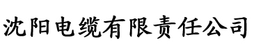 浪人干综合电缆厂logo